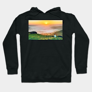 dog watching the sunrise at a misty Hope Valley, Castleton, Derbyshire,UK Hoodie